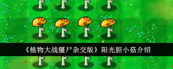 植物大战僵尸杂交版：阳光胆小菇攻略