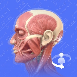 人体3D解剖图谱v2.4.0