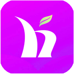 盒子市场v3.3