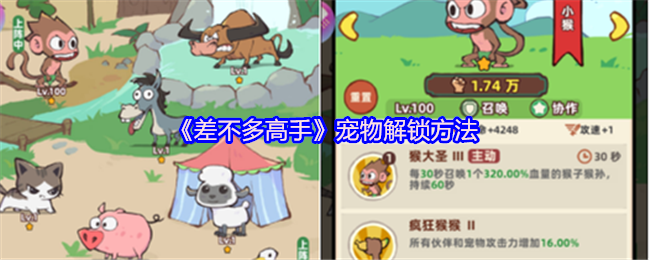 《差不多高手》宠物获取技巧解析