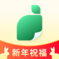 青柠设计应用v2.5.0